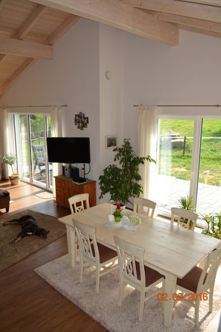 Heller Wohnbereich mit Esszimmertisch, Fernseher und Blick ins Grüne.